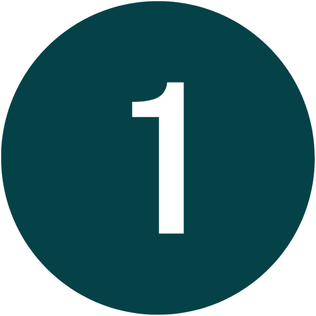 Initial Health Assessment*