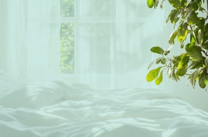 Sleep Like a Queen: Overcoming Summer Insomnia During Menopause