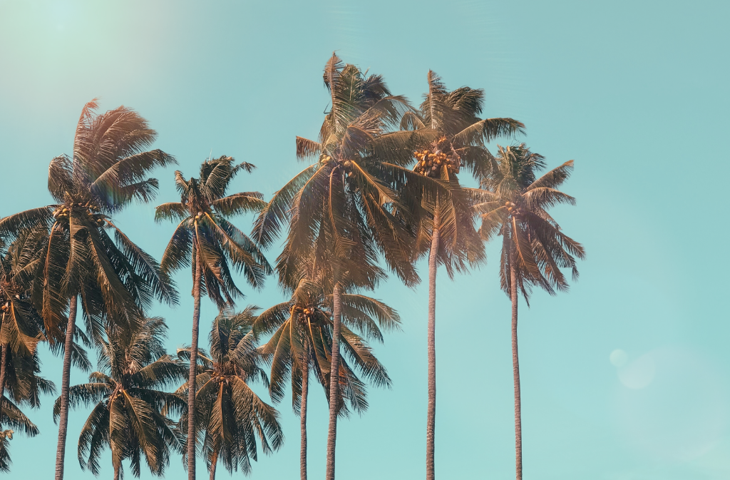 Hot Flushes on Hot Days: Top Tips For Beating The Heat