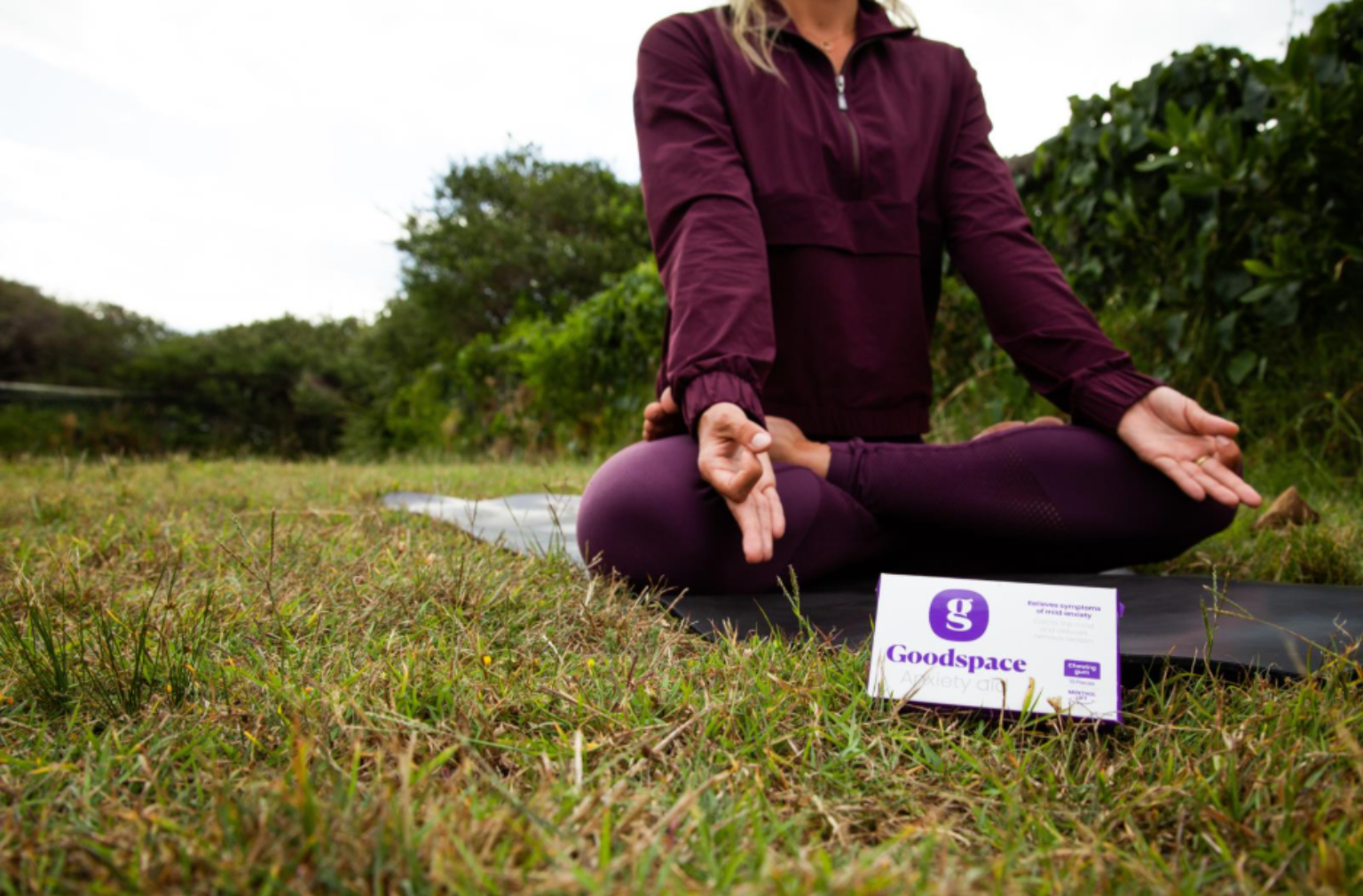 Introducing Goodspace: Support for Stress and Mild Anxiety Introducing Goodspace: Support for Stress and Mild Anxiety