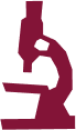 Vector