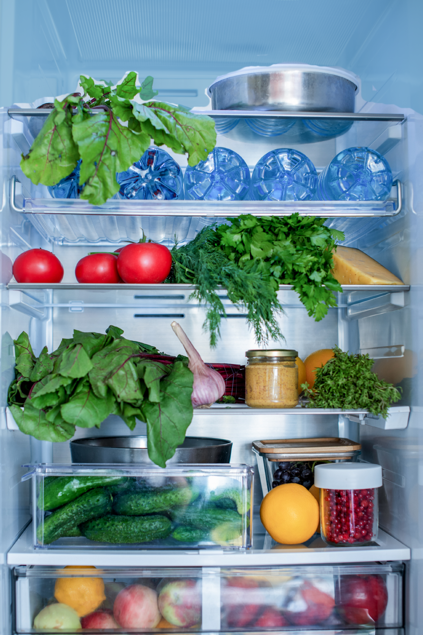 Fridge full of fresh fruit and vege